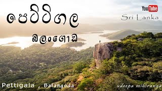 Pettigala Tea State Balangoda  Sri Lanka පෙට්ටිගල බලන්ගොඩ [upl. by Hendrika]