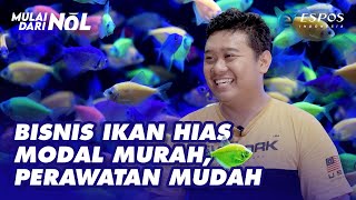 Bisnis Ikan Hias Mulai dari Nol [upl. by Elohc]