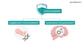 Wie funktioniert die Immunantwort [upl. by Rosena274]