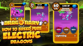 How to Hatch PURE electric rare dragon egg in Dragonary  High DPS electric dragon  ELECTRIC DRAGON [upl. by Gnilrad]