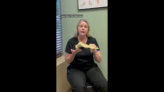 Plantar Fasciitis Explained [upl. by Nicolette]