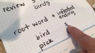 Spelling with inflected endings [upl. by Elfrieda223]