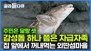 딱 2집만 살아 뱃길도 끊겨 회 먹고 싶으면 물고기 한 마리쯤은 자급자족 바다에서 꺼내 먹는 외딴섬마을에서의 하룻밤┃한국기행┃골라듄다큐 [upl. by Basir]