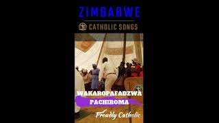 Zimbabwe Catholic Songs  Wakaropadzwa PachiRoma Shorts [upl. by Lekkim]