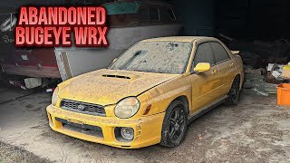 First Wash in 7 Years Subaru WRX Bugeye ABANDONED in Barn  Car Detailing Restoration [upl. by Sybyl651]