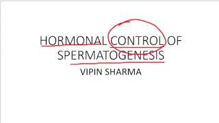 Hormonal control of spermatogenesis process for AIIMS JIPMER [upl. by Ogdon]