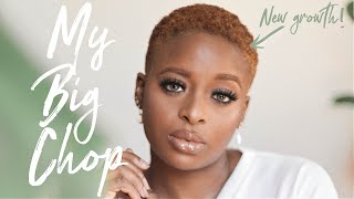 MY BIG CHOP Creating a new Healthy scalp and Hair regimen [upl. by Mloclam]