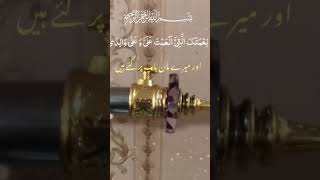 ya Allah mujhe taufeeq deki main Tera shukranaaadakron [upl. by Amandy]