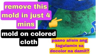 HOW TO REMOVE MOLD OR MILDEW FROM COLORED CLOTH PAANO ALISIN ANG TAGULAMIN SA DECOLOR NA DAMIT [upl. by Long]