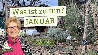 Deine Aufgabenliste für den Gartenmonat Januar [upl. by Airdnaed714]