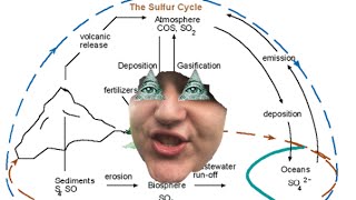 The Super Sulfur Cycle [upl. by Humfried10]