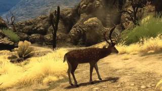 Cabelas Big Game Hunter 2010  long dev trailer [upl. by Llerret469]