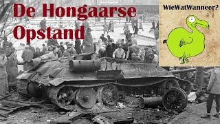 Warschaupact amp De Hongaarse Opstand HC Koude Oorlog [upl. by Eniksre859]