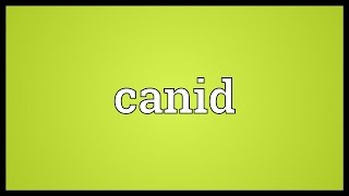 Canid Meaning [upl. by Ardnuaet]