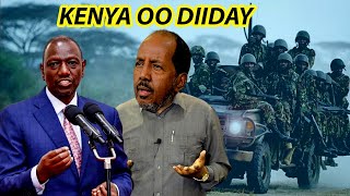 Xogta MW Kenya oo fagaare ka sheegay in ciidanka kenya ka bixi doonin somalia amp Joe Beydhan oo si [upl. by Demetra]