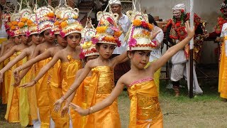 Tari Rejang Dewa saat Rahina Ngusaba Pura Puseh [upl. by Dorelia]