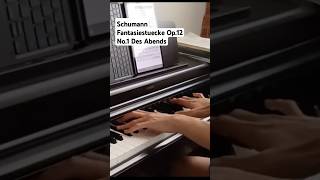 new series Schumann Fantasiestuecke Op121 Des Abends schumann romanticpiano fantasy [upl. by Yanarp954]