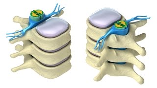 CURSO DE FARMACOLOGÍA DEL SISTEMA NERVIOSO AUTÓNOMO [upl. by Norej265]