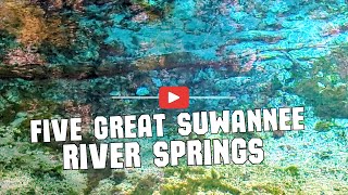 5 Great Suwannee River Springs [upl. by Hilton]