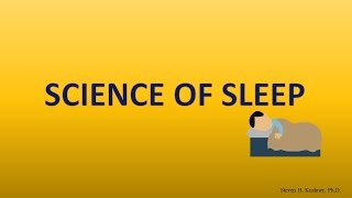 Stages of Sleep REM sleep Circadian Rhythm [upl. by Chud441]