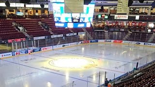 Barrie Colts vs Brampton Steelheads PreGame Livestream [upl. by Teik]