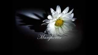 Margherita  Riccardo Cocciante with lyrics [upl. by Newberry]