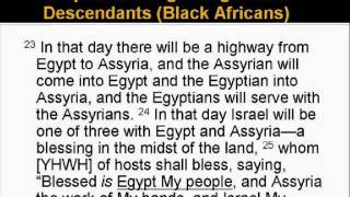 Blacks in the Bible  The True Identity of the Hebrews  Part 4 of 7 [upl. by Lanfri]