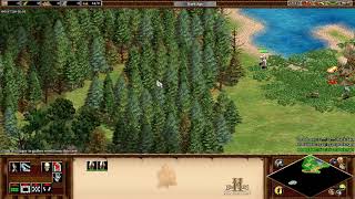 Age of Empires 2 custom campaign Haakon the duke  Chapter III  Epilogue [upl. by Darsey]