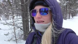 VLOG Mushing with my dogs [upl. by Peednama]