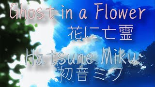 Hatsune Miku  Ghost in a Flower 花に亡霊  Lyric Video [upl. by Eelra]