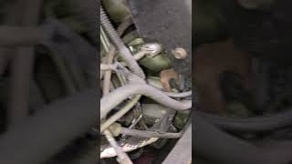 2003 F150 Timing Chain Rattle [upl. by Nahtanod]