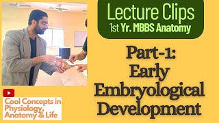 Embryology Anatomy Early Embryological Development Part1  1st Year MBBS [upl. by Duff]