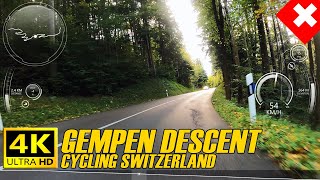 Cycling Switzerland  Autumn Road Descent From Gempen ASMR [upl. by Zaragoza658]