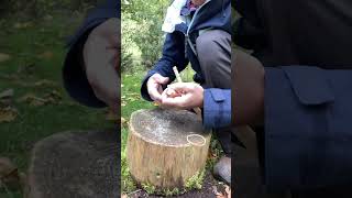 Steinschleuder basteln victorinox diy wood nature funny basteln tipps shorts survival [upl. by Soinski]