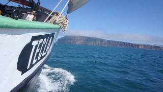 Sailing Iceland on board Tecla [upl. by Forbes128]