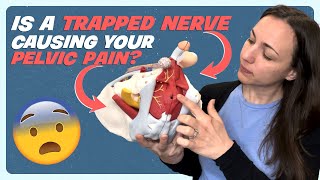 Understanding Pudendal Nerve Entrapment and Neuralgia Causes and Symptoms [upl. by Conny549]