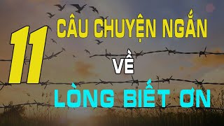 LÒNG BIẾT ƠN  11 Câu Chuyện Giúp Bạn BỒI ĐẮP SỰ BIẾT ƠN Từng Ngày [upl. by Else]