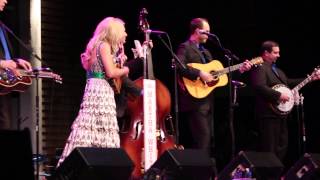 Rhonda Vincent amp the Rage  2013 Outer Banks Bluegrass Festival [upl. by Ollayos]