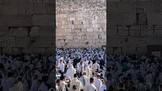 Jewish prayer at the Western Wall in Jerusalem in Sukkot Israel 2024 [upl. by Leirraj]