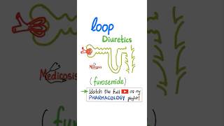 Loop Diuretics  Kidney  Pharmacology physiology anatomy biology nurse doctor mbbs science [upl. by Kunkle]