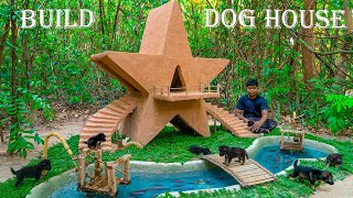 Save Orphaned Puppies Raise and Build a beautiful starshaped dog house [upl. by Karine]