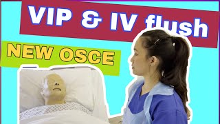 Visual Infusion Phlebitis VIP and IV cannula flush OSCE 2021 [upl. by Anelehs]