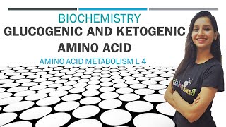 Glucogenic and Ketogenic Amino Acid  Amino Acid Metabolism L 4  Biochemistry Unit 1 [upl. by Torrence]