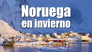 🇳🇴 Qué hacer en NORUEGA en invierno ❄️ [upl. by Ody]