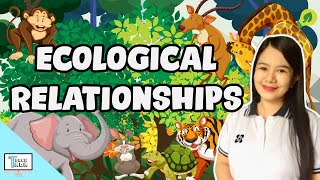 Ecological Relationships Predation Commensalism Mutualism Parasitism Competition  Biology [upl. by Hawger]