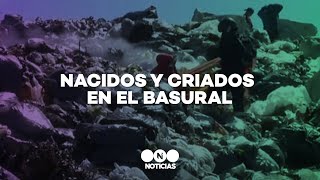 NACIDOS Y CRIADOS en el BASURAL MÁS GRANDE de la ARGENTINA  Telefe Noticias [upl. by Rasla593]