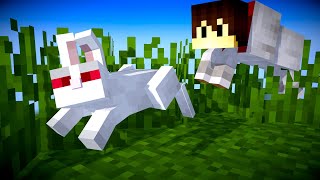 Minecraft ABER als Wolf  LarsLP [upl. by Aynek908]