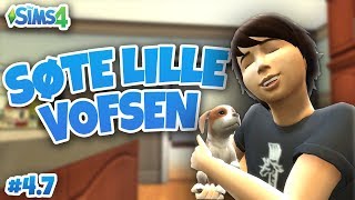 Søte lille vofsen  The Sims 4 47 [upl. by Eedia]