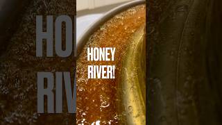 Raw Honey River 🐝🍯 shorts beekeeping honeybee [upl. by Daren482]