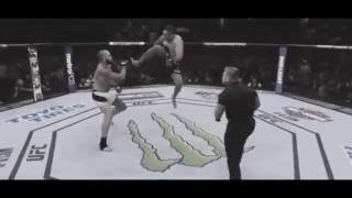 Fabricio Werdum Flying Kick Vs browne UFC 203 [upl. by Jemena]